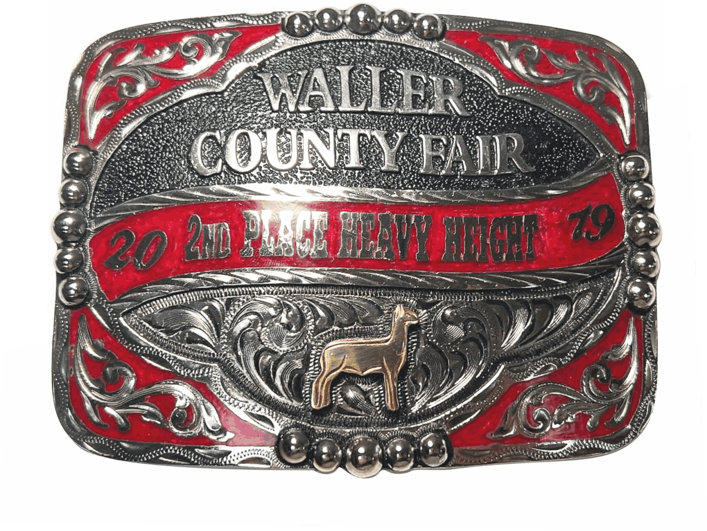 Buckle G340
