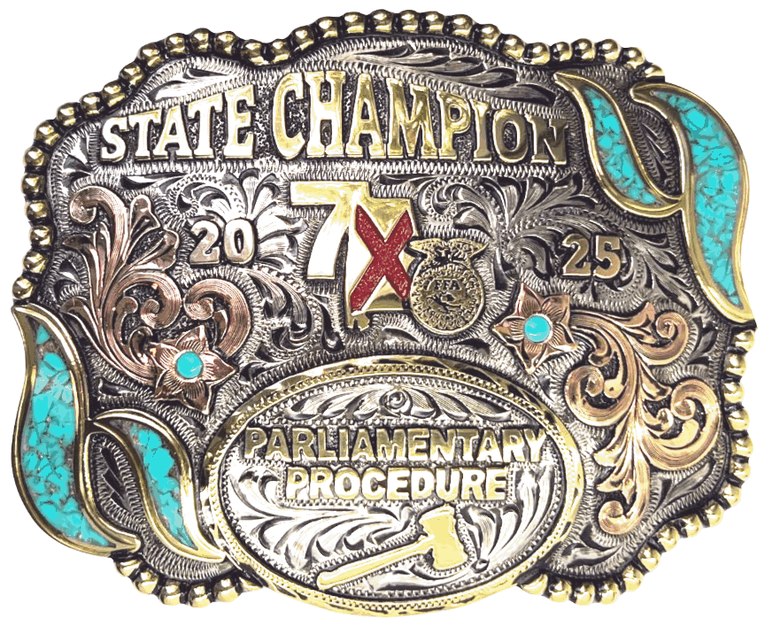 Buckle 356