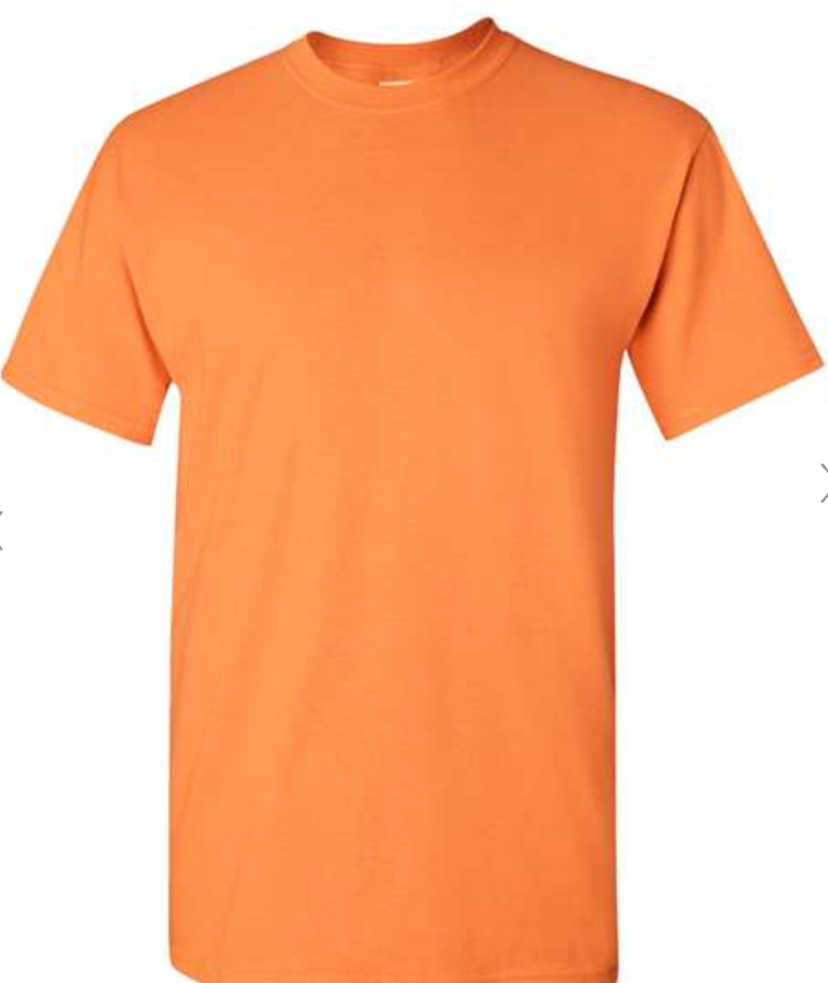 Gildan Heavy Cotton™ T-Shirt - 5000