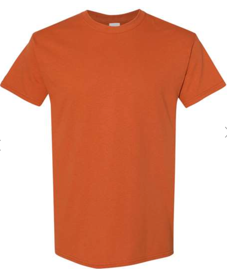 Gildan Heavy Cotton™ T-Shirt - 5000