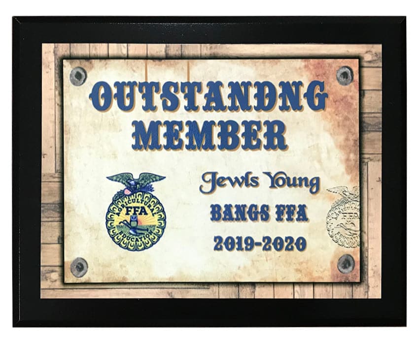 Plaque 22B