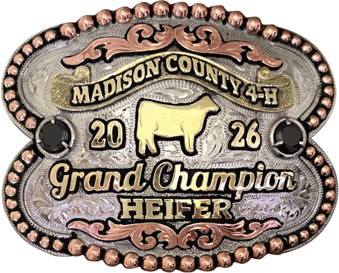 Buckle G191