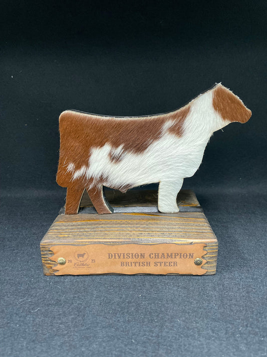 Steer Hide Trophies