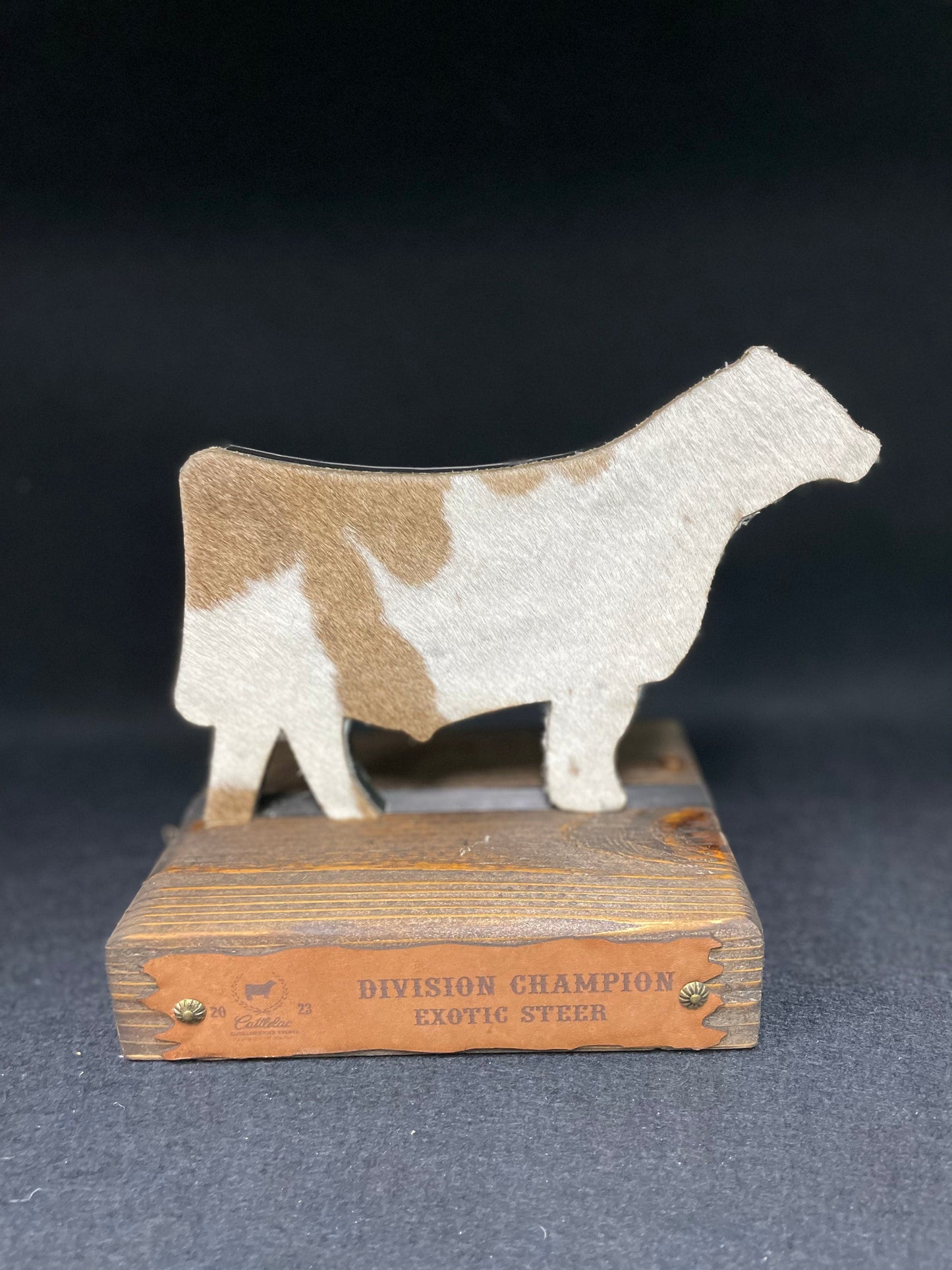 Steer Hide Trophies