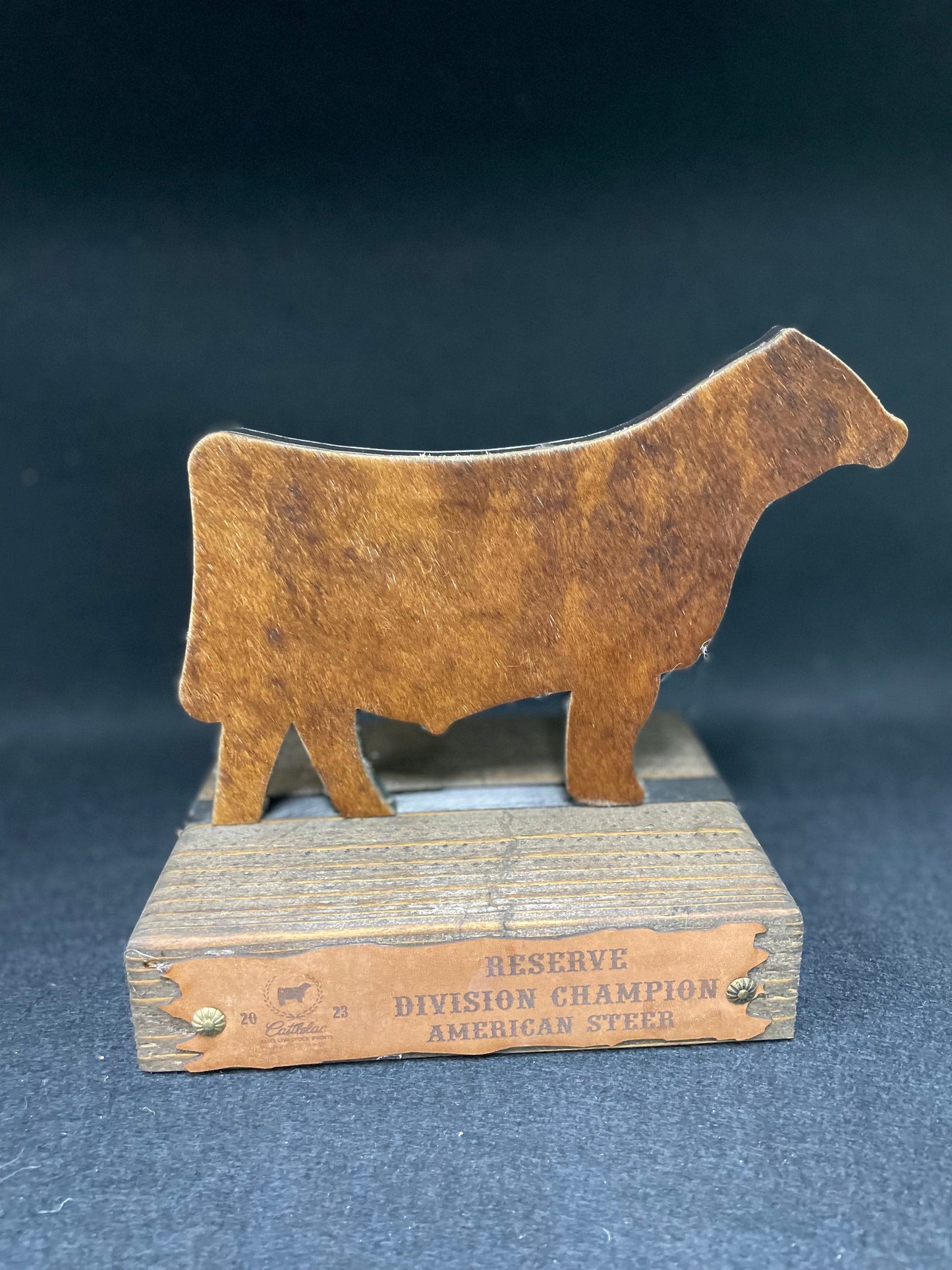 Steer Hide Trophies