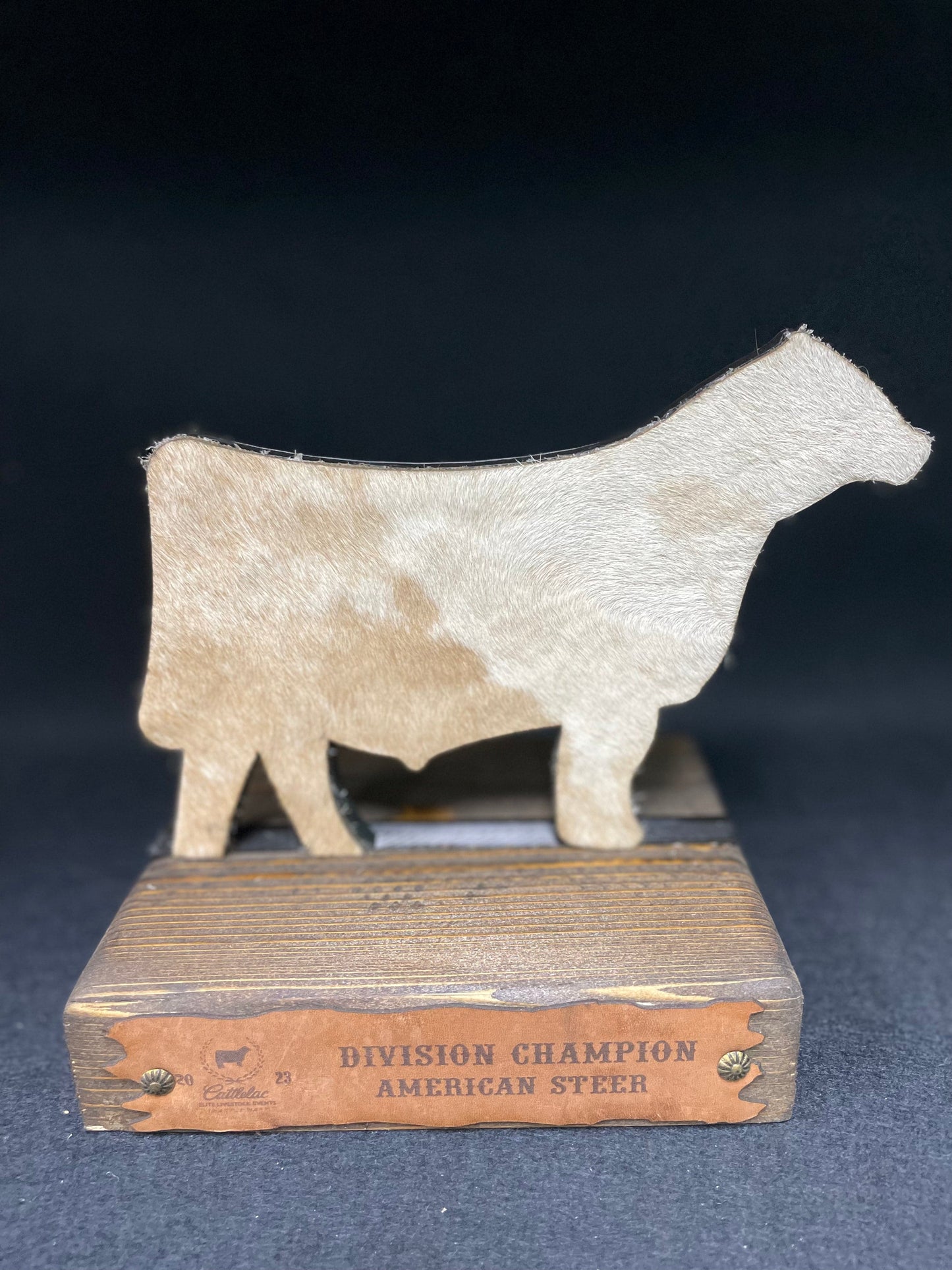 Steer Hide Trophies