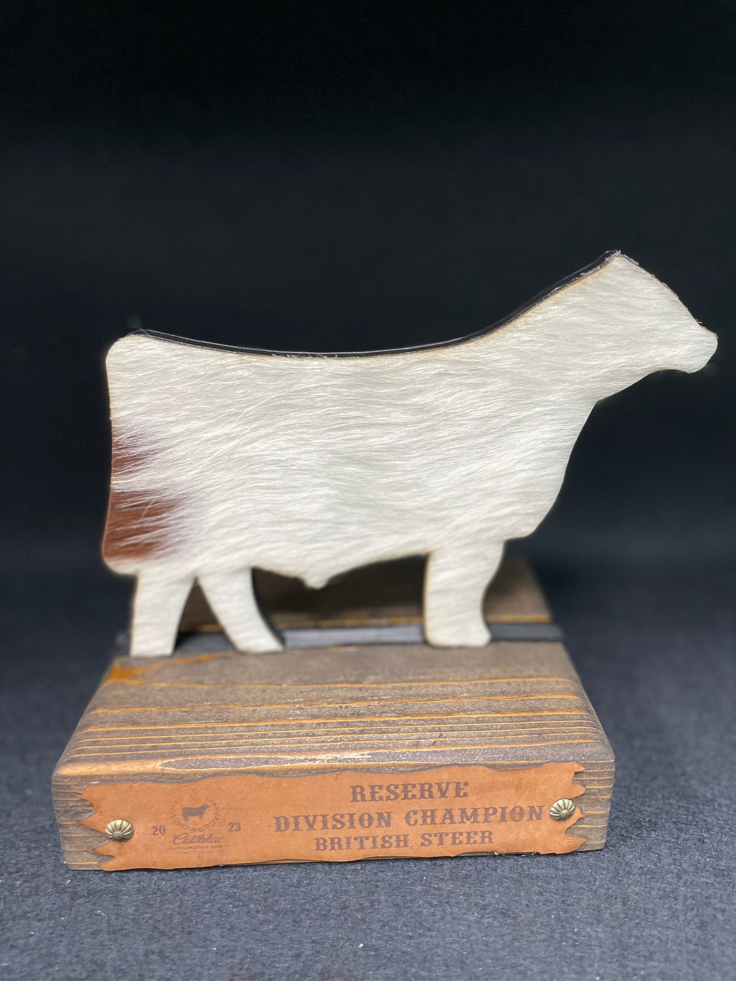 Steer Hide Trophies