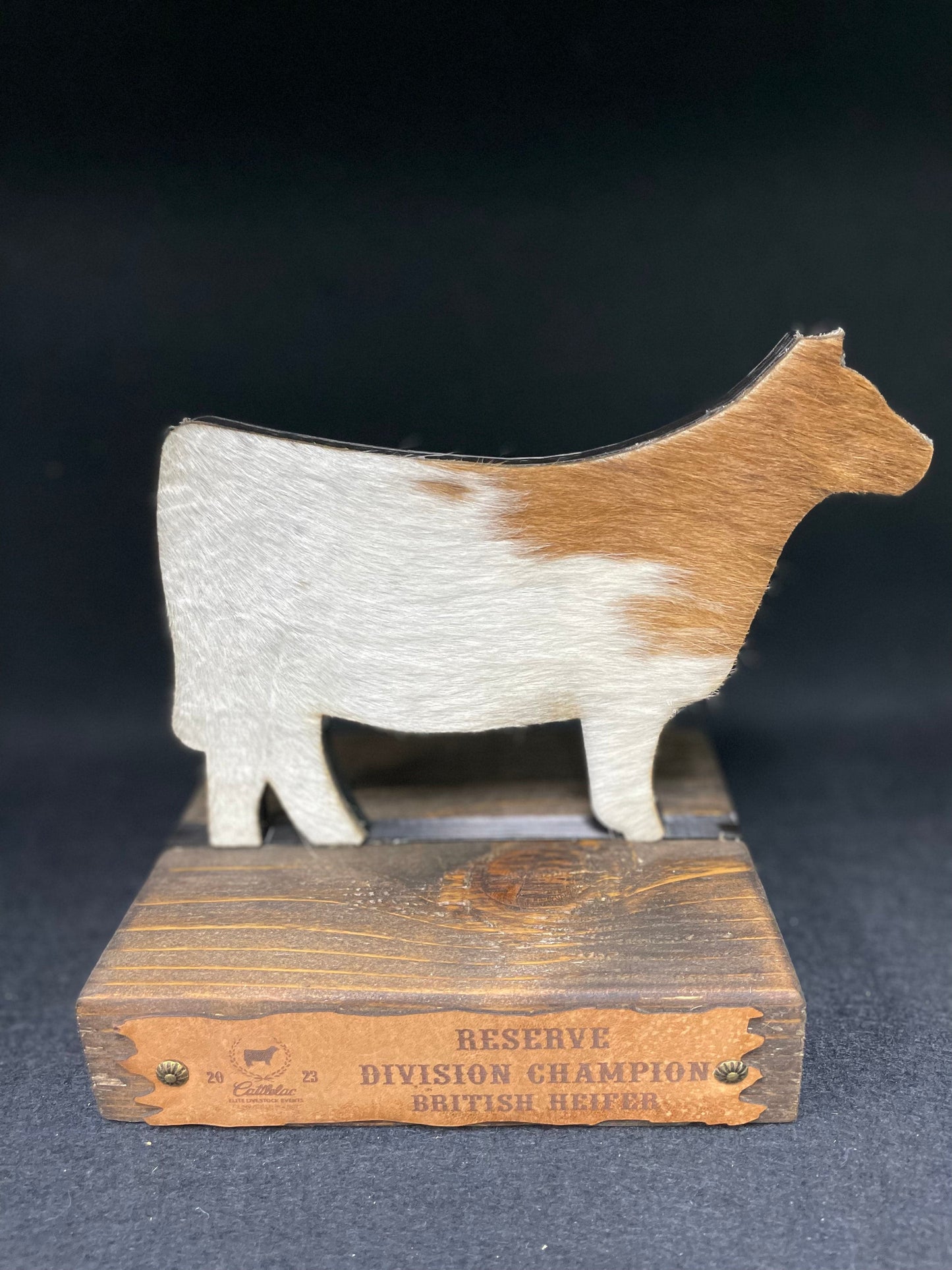 Steer Hide Trophies