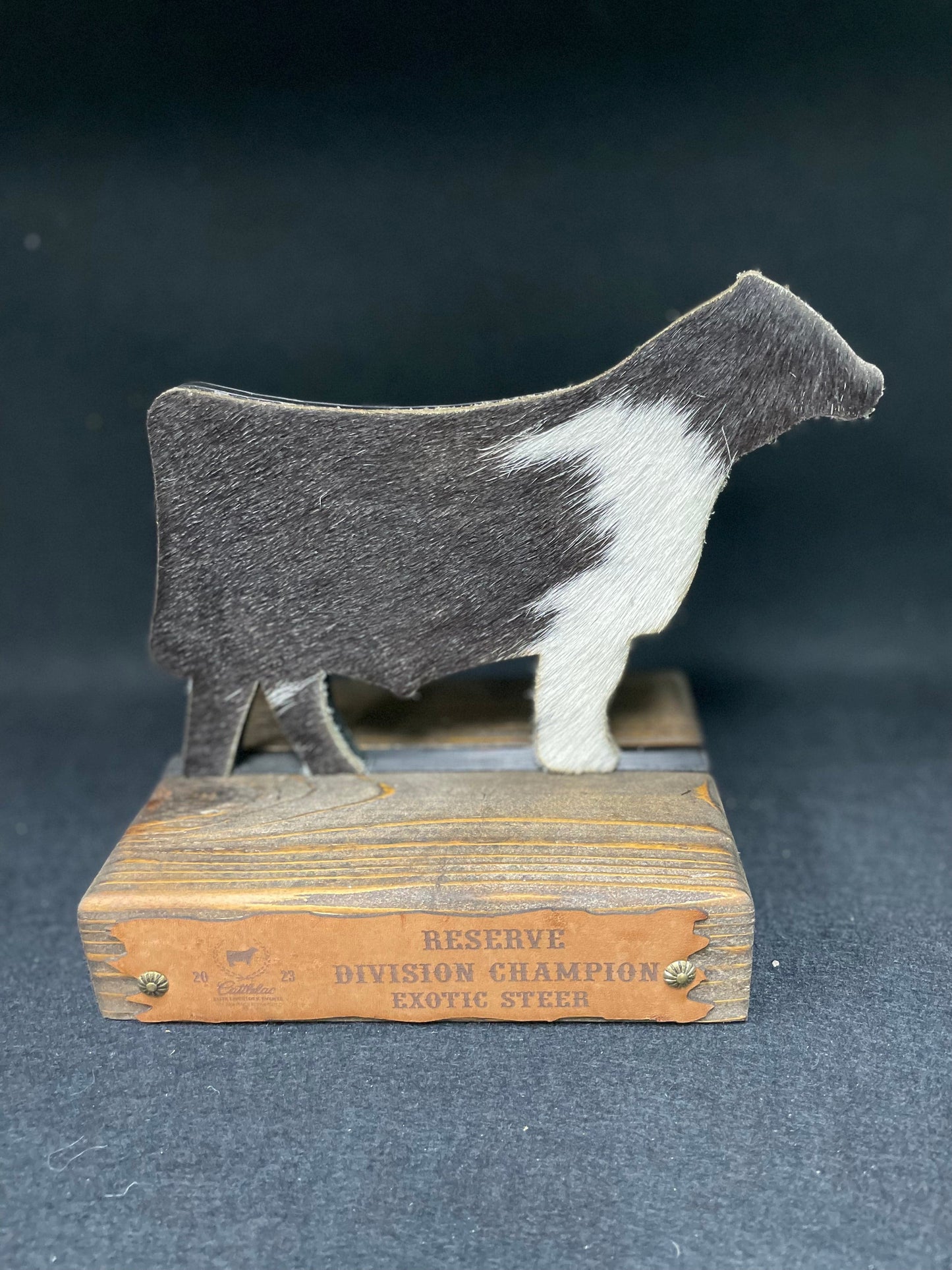 Steer Hide Trophies