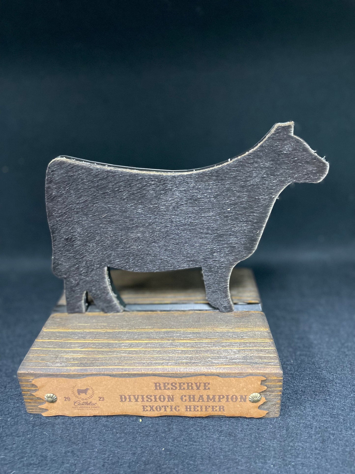 Steer Hide Trophies