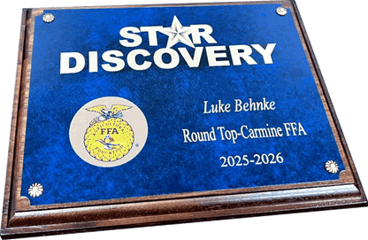 Plaque 16