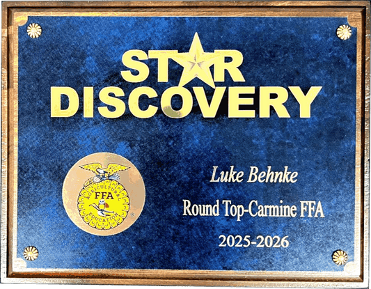 Plaque 16