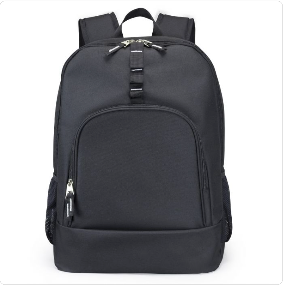 Poly Computer Backpack w/ Padded Back Panel