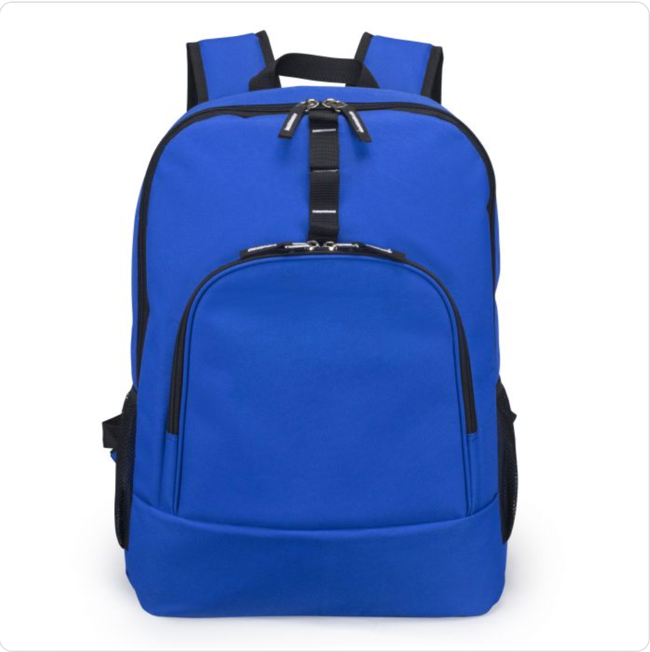 Poly Computer Backpack w/ Padded Back Panel