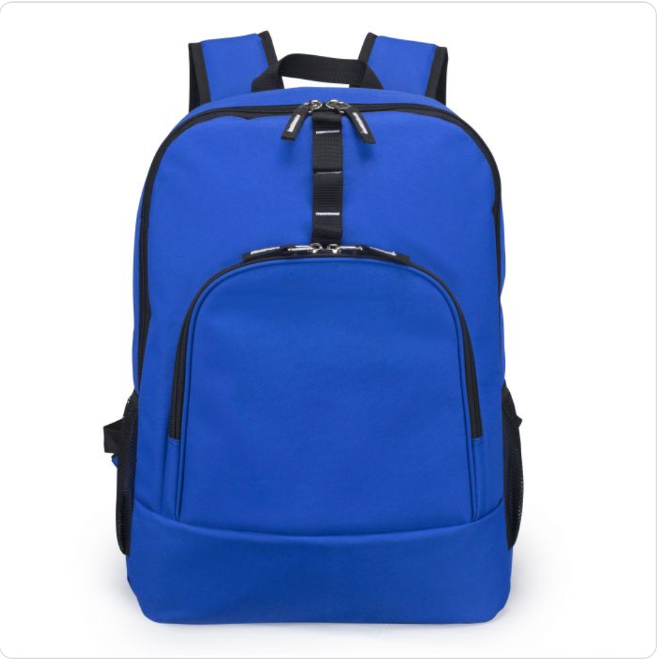 Poly Computer Backpack w/ Padded Back Panel 