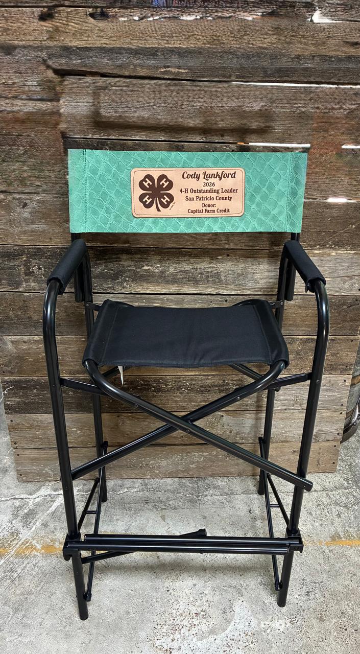 Metal Leather Director Chair Tall