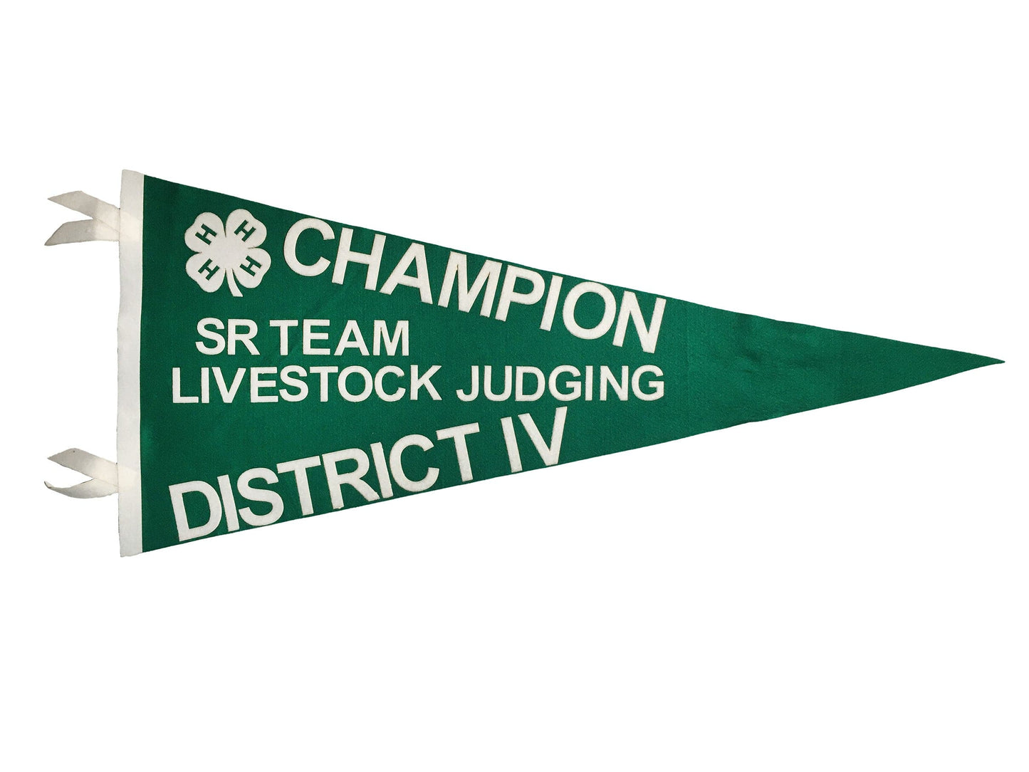 4H 300B Banner - Felt