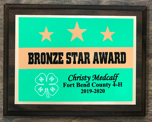 Bronze Star Award