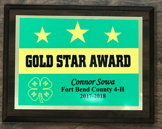 Gold Star Award