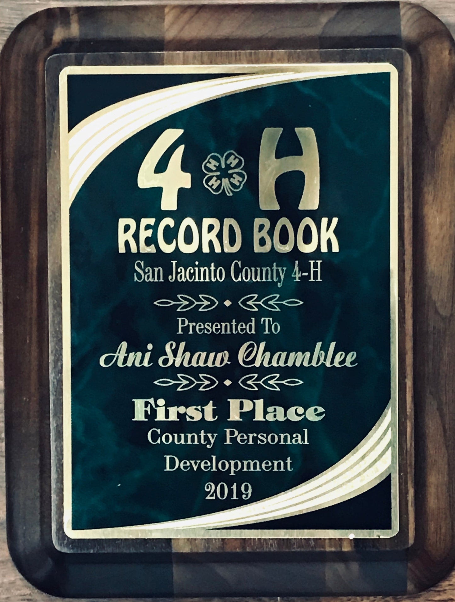 4H Record Book