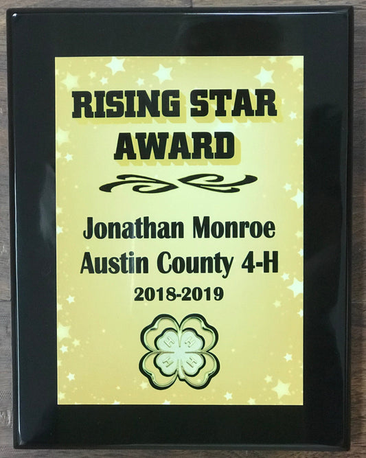 Rising star Award