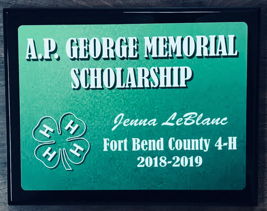 Geogre memorial scholarship