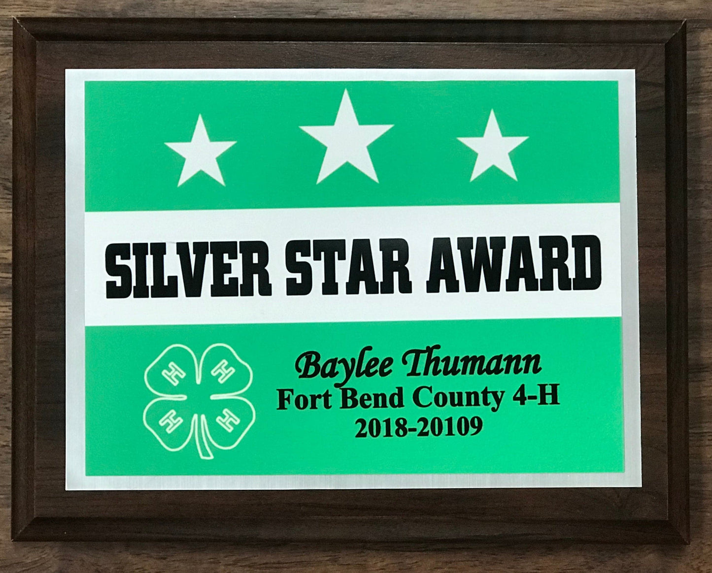 silver star award