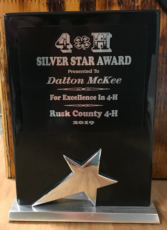 4H Silver Star