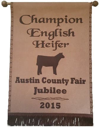 Champion English Heifer