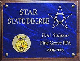 Plaque 16