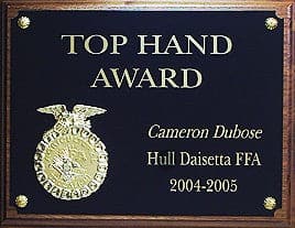 Plaque 17A