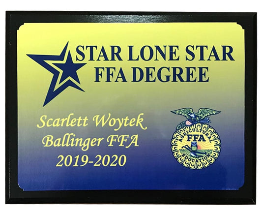 Plaque 20B
