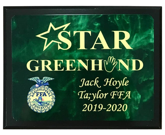 Plaque 23B