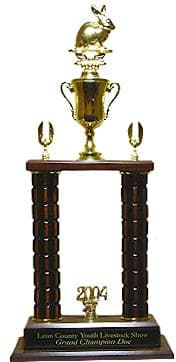 Trophy 7